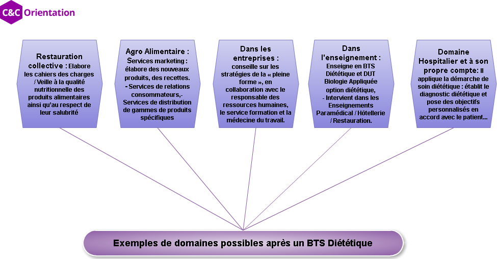 quelles etudes pour etre dieteticienne
