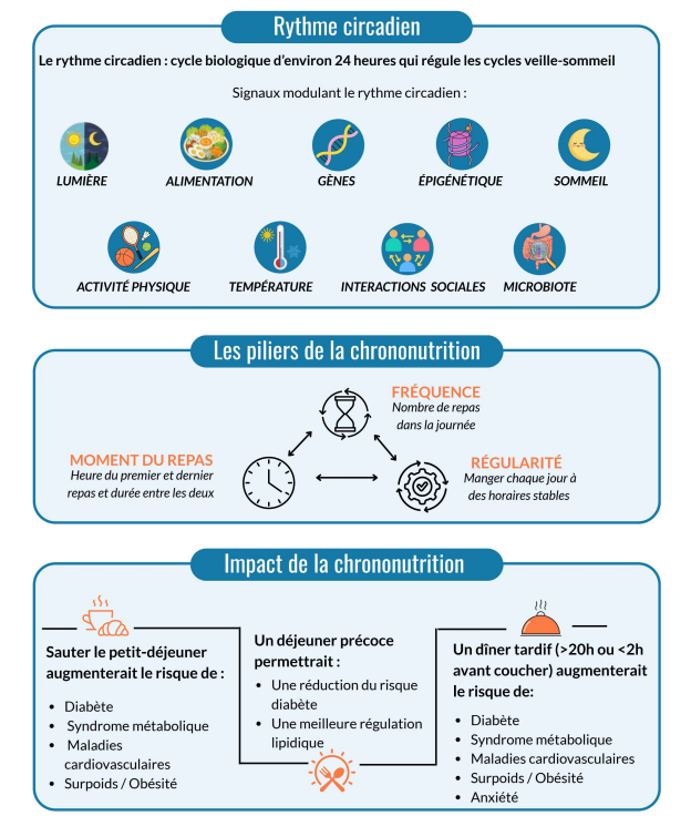 nutritionniste chrononutrition