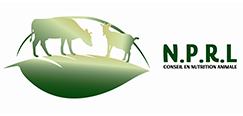nutritionniste bovin indépendant